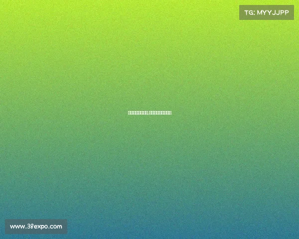 国际汽联认证赛事,国际汽联世界锦标赛